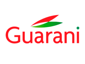 9logo-guarani
